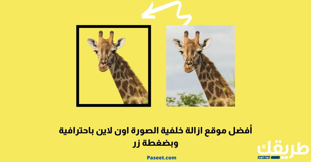 حذف خلفية الصورة اون لاين