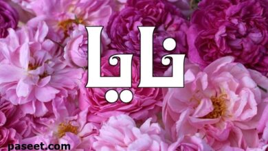 معنى اسم نايا في الإسلام