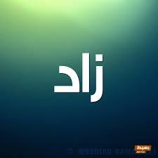 معنى اسم زاد