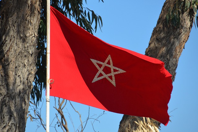 تهنئة بمناسبة عيد الاستقلال المغربي