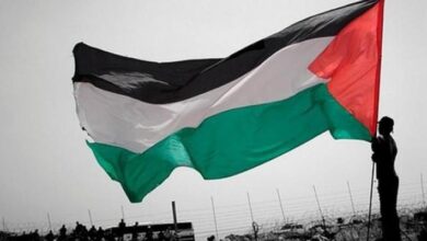 شعارات تضامنية مع فلسطين