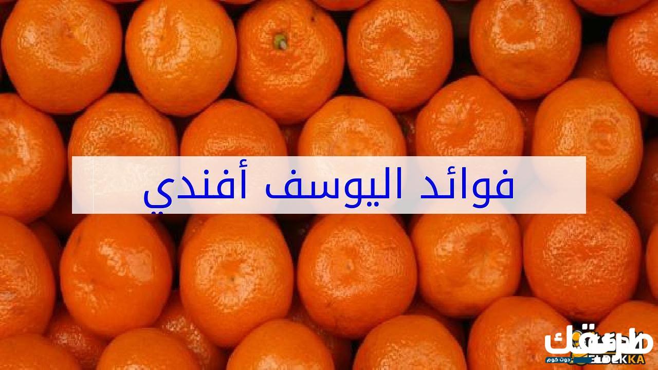 تجربتي مع فوائد اليوسف أفندي على صحة الإنسان