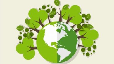 خاتمة اذاعة مدرسية عن البيئة
