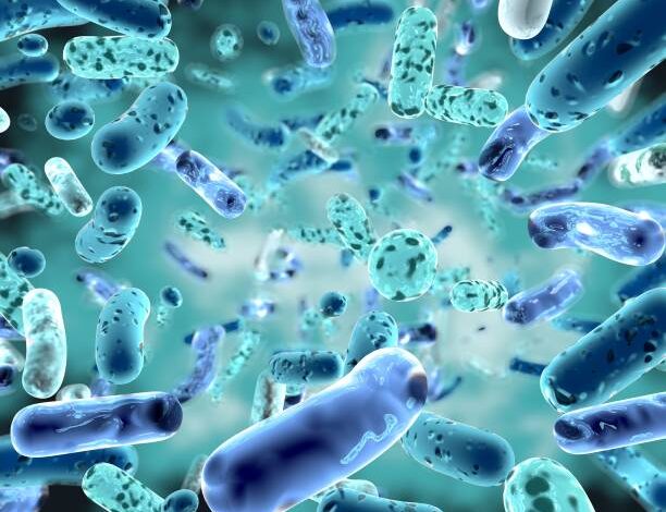 تجربتي مع البكتيريا النافعة