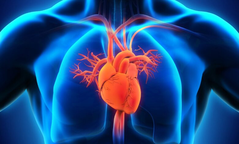 ما الذي يحدث للدم في جهاز القلب الرئتين الصناعي