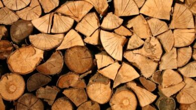 بحث عن الخشب وانواعه واستخداماته