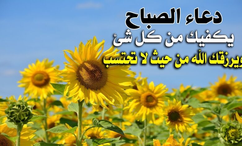 هل الدعاء في الصباح مستجاب؟