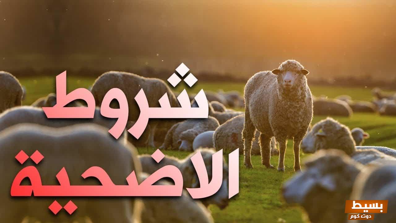 ما هي شروط الواجبة على المضحي