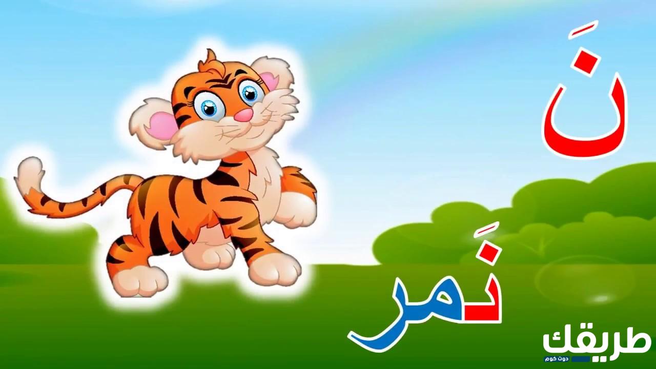 كلمات تبدا بحرف النون 2024