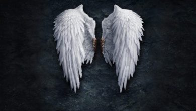 452743 beautiful angel wings wallpaper 1920x1200 1