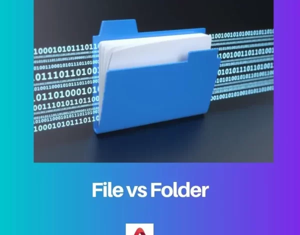 الفرق بين الملف والمجلد scaled.webp